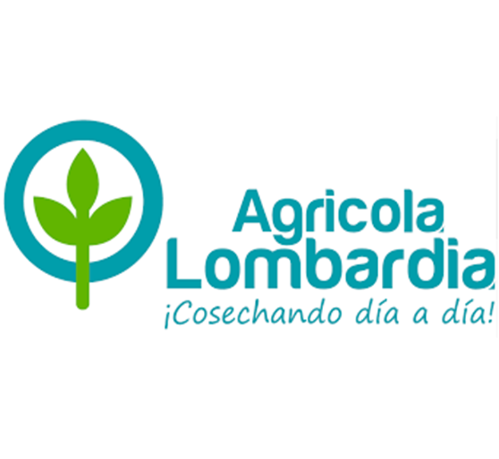 la mazorca logo la mazorca logo